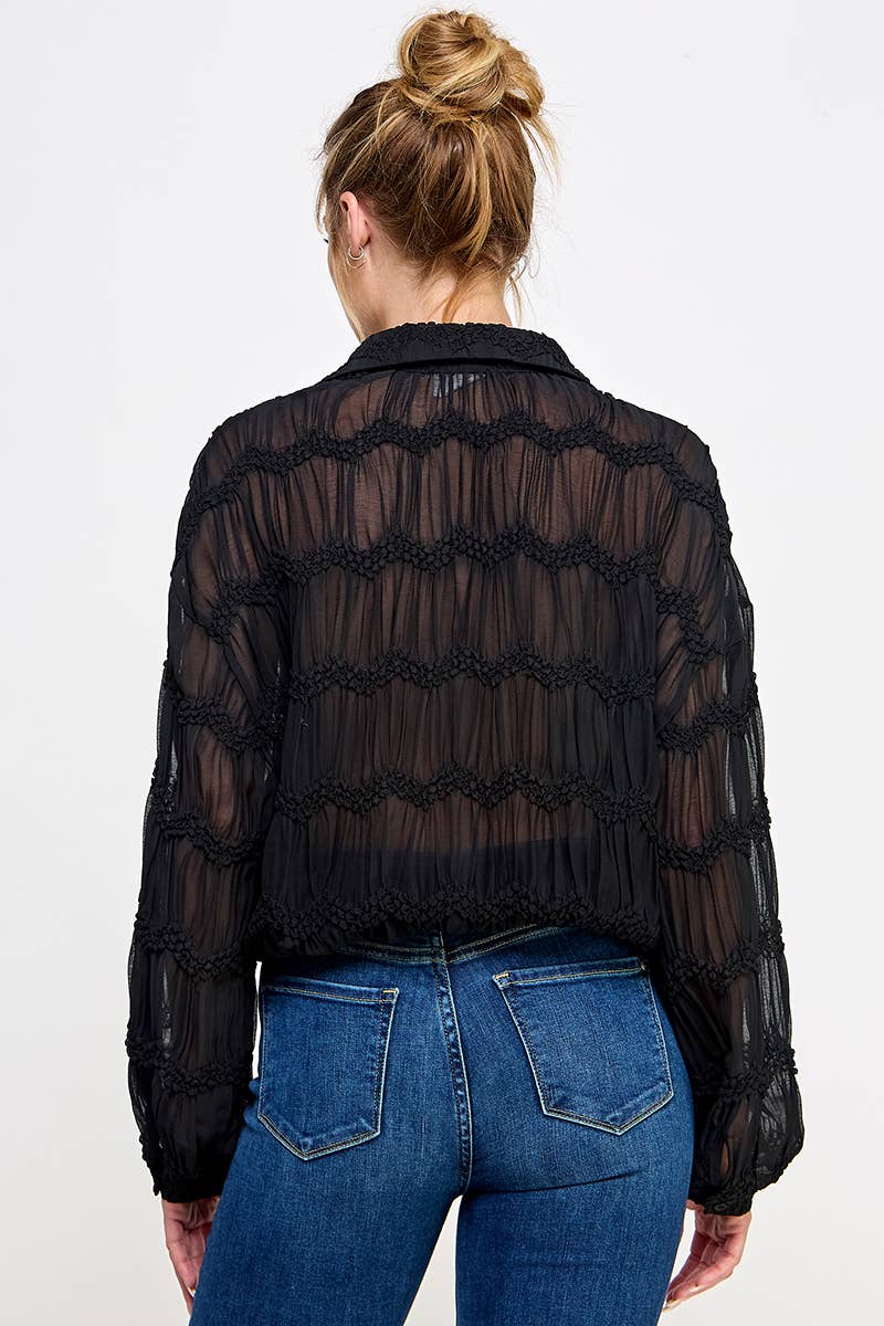 Romantic Sheer Button Front Blouse
